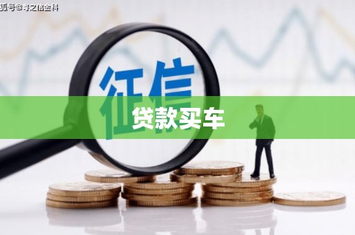 沧县贷款买车