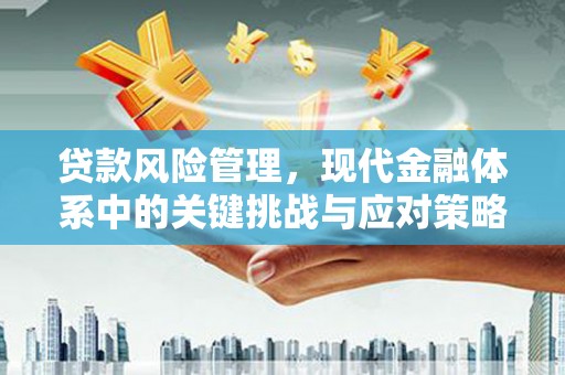 沧县贷款风险管理，现代金融体系中的关键挑战与应对策略