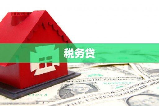 沧县税务贷