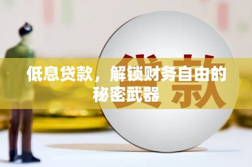 沧县低息贷款，解锁财务自由的秘密武器