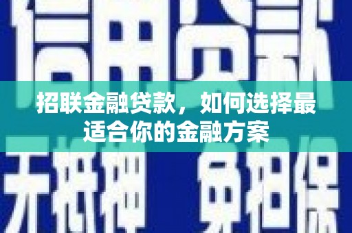 沧县招联金融贷款，如何选择最适合你的金融方案