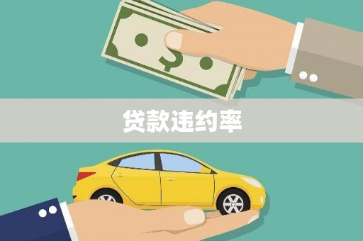 沧县贷款违约率