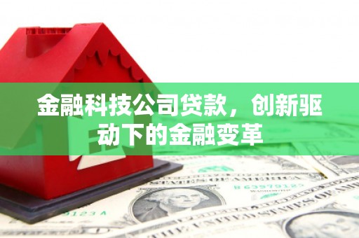 沧县金融科技公司贷款，创新驱动下的金融变革