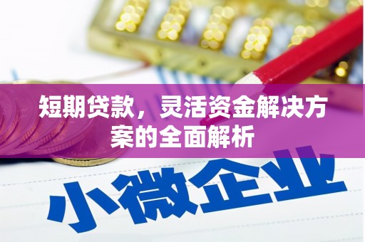 沧县短期贷款，灵活资金解决方案的全面解析