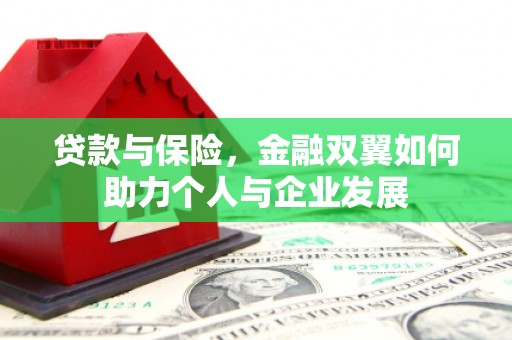 沧县贷款与保险，金融双翼如何助力个人与企业发展