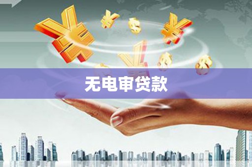 沧县无电审贷款