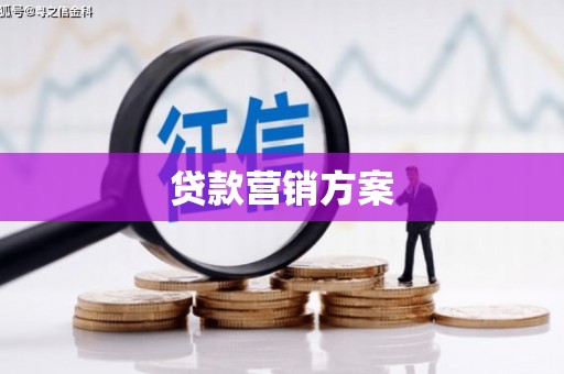 沧县贷款营销方案