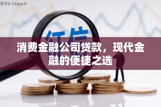沧县消费金融公司贷款，现代金融的便捷之选