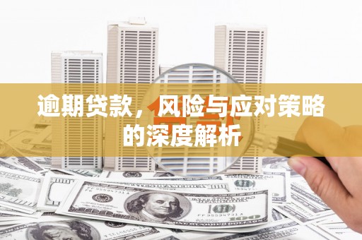 沧县逾期贷款，风险与应对策略的深度解析