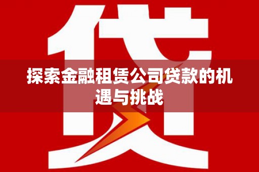 沧县探索金融租赁公司贷款的机遇与挑战