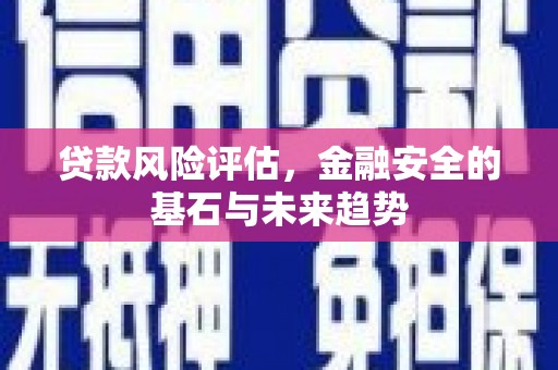 沧县贷款风险评估，金融安全的基石与未来趋势