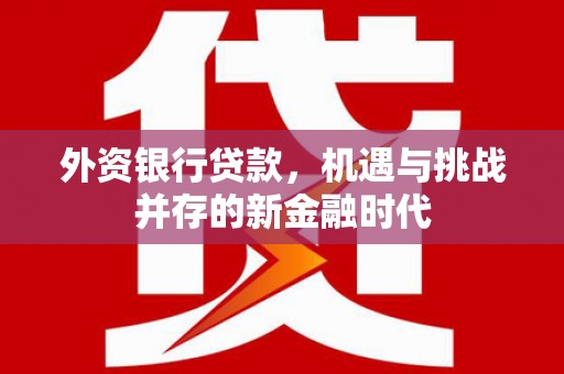 沧县外资银行贷款，机遇与挑战并存的新金融时代