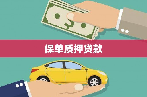 沧县保单质押贷款