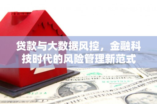 沧县贷款与大数据风控，金融科技时代的风险管理新范式