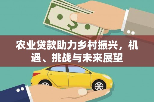 沧县农业贷款助力乡村振兴，机遇、挑战与未来展望