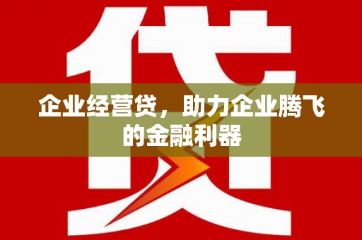沧县企业经营贷，助力企业腾飞的金融利器