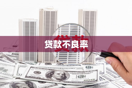 沧县贷款不良率