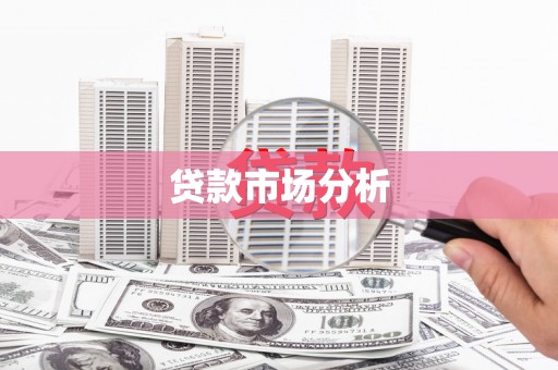 沧县贷款市场分析