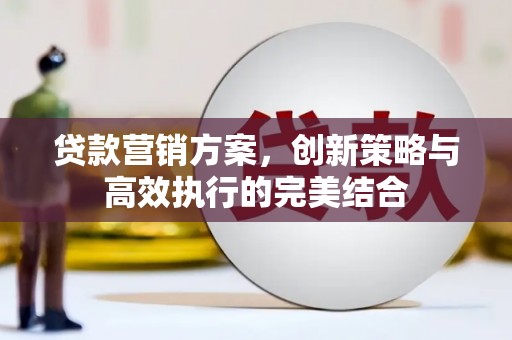 沧县贷款营销方案，创新策略与高效执行的完美结合