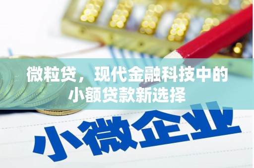 沧县微粒贷，现代金融科技中的小额贷款新选择