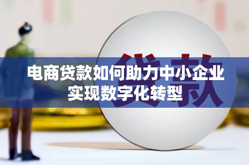 沧县电商贷款如何助力中小企业实现数字化转型