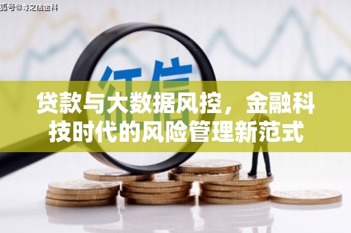 沧县贷款与大数据风控，金融科技时代的风险管理新范式