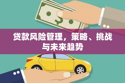 沧县贷款风险管理，策略、挑战与未来趋势