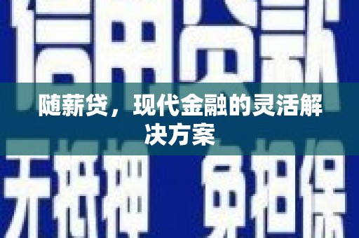 沧县随薪贷，现代金融的灵活解决方案