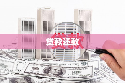 沧县贷款还款