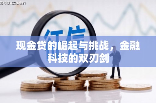 沧县现金贷的崛起与挑战，金融科技的双刃剑
