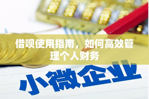 沧县借呗使用指南，如何高效管理个人财务