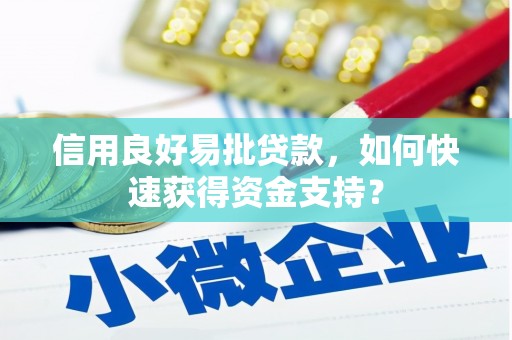 沧县信用良好易批贷款，如何快速获得资金支持？