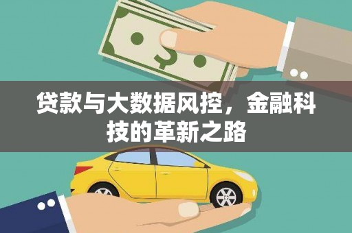沧县贷款与大数据风控，金融科技的革新之路