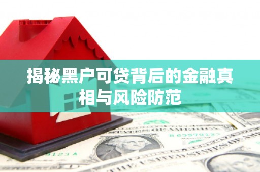 沧县揭秘黑户可贷背后的金融真相与风险防范