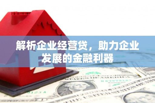 沧县解析企业经营贷，助力企业发展的金融利器