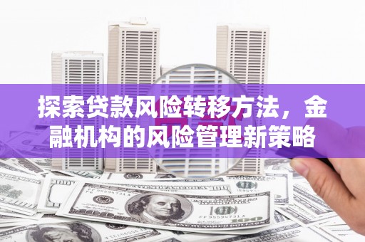 沧县探索贷款风险转移方法，金融机构的风险管理新策略