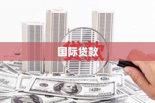 沧县国际贷款