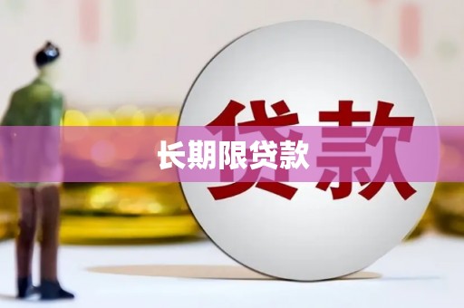 沧县长期限贷款