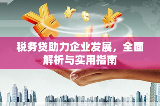 沧县税务贷助力企业发展，全面解析与实用指南