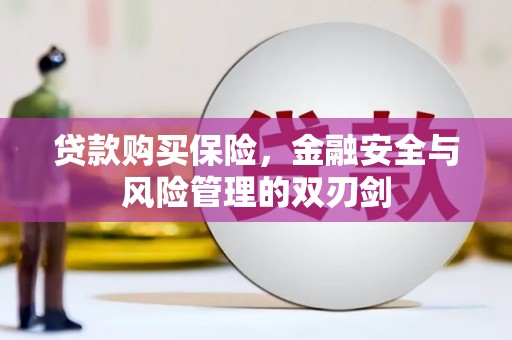 沧县贷款购买保险，金融安全与风险管理的双刃剑