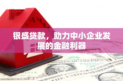 沧县银盛贷款，助力中小企业发展的金融利器