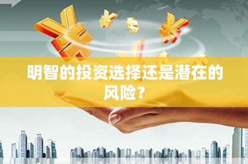 沧县明智的投资选择还是潜在的风险？