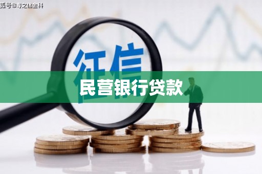 沧县民营银行贷款