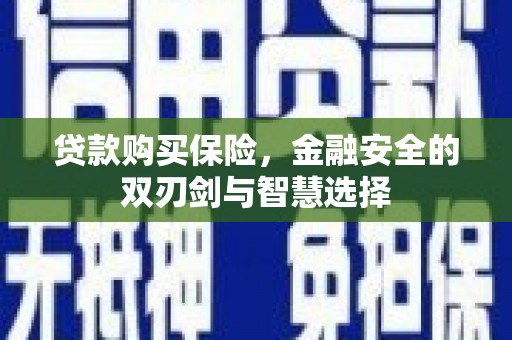 沧县贷款购买保险，金融安全的双刃剑与智慧选择