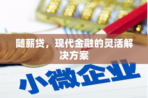 沧县随薪贷，现代金融的灵活解决方案
