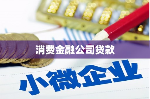 沧县消费金融公司贷款