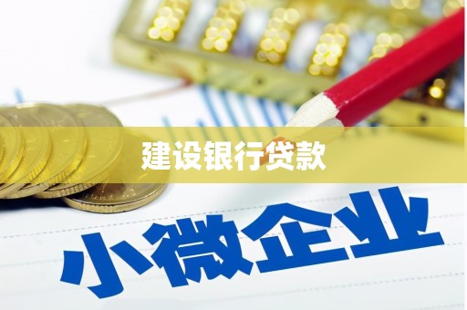 沧县建设银行贷款