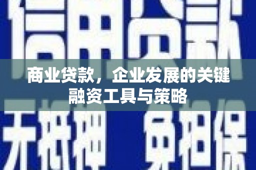 沧县商业贷款，企业发展的关键融资工具与策略