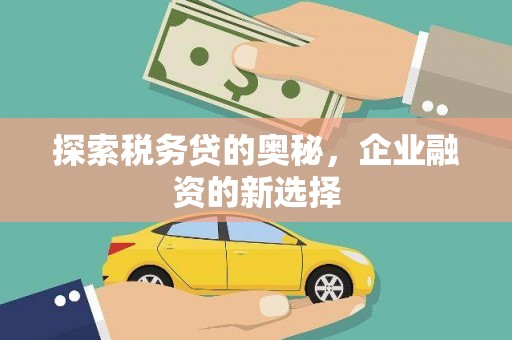 沧县探索税务贷的奥秘，企业融资的新选择