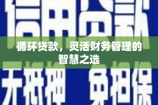 沧县循环贷款，灵活财务管理的智慧之选
